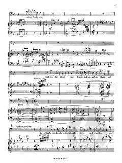 Die Heinzelmännchen für Bass und Orchester op.14 von Hans Pfitzner 