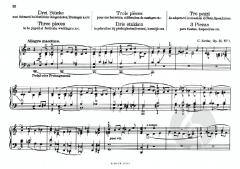 Festivum organum liturgicum 