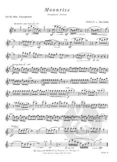 Moonrise von Harold Walters 