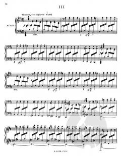 Klaviersonate von Paul Dukas im Alle Noten Shop kaufen