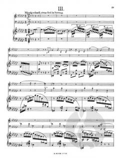 Klaviertrio F-Dur op.8 von Hans Pfitzner 