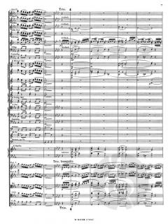 Königsmarsch für Orchester AV.100 (Partitur) von Richard Strauss im Alle Noten Shop kaufen