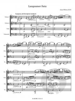 Langsamer Satz für Streichquartett von Anton Webern im Alle Noten Shop kaufen