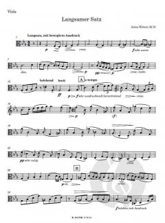 Langsamer Satz für Streichquartett von Anton Webern im Alle Noten Shop kaufen