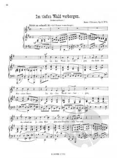 Liederalbum für mittlere Stimme 1 von Hans Pfitzner 