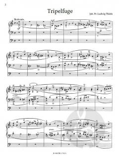 Orgelraritäten der Romantik 65: Deutsche Früh- und Hochromantik 3 im Alle Noten Shop kaufen