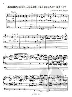 Orgelraritäten der Romantik 65: Deutsche Früh- und Hochromantik 3 im Alle Noten Shop kaufen