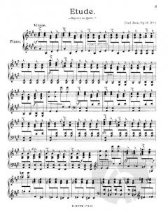 Satyre und Nymphen von Paul Juon 