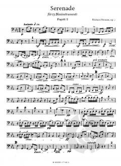 Serenade für 13 Blasinstrumente op.7 von Richard Strauss 