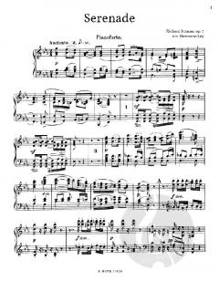 Serenade für Bläser op.7 von Richard Strauss 