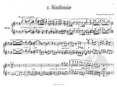 Sinfonie Nr. 1 c-Moll op.68 von Johannes Brahms 