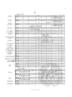 Sinfonie Nr. 3 (Orgelsinfonie) op.78 von Camille Saint-Saëns im Alle Noten Shop kaufen (Partitur)