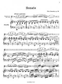 Sonate op.38 von Felix Draeseke 