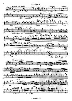 Streichquintett E-Dur op.1 von Ethel Smyth im Alle Noten Shop kaufen (Stimmensatz)