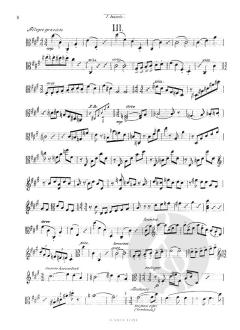 Streichquintett fis-Moll von Heinrich Kaminski im Alle Noten Shop kaufen (Stimmensatz)