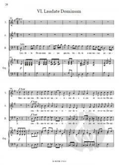 Vespere breves von Schwarz, Amandus 