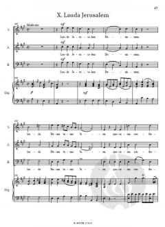 Vespere breves von Schwarz, Amandus 