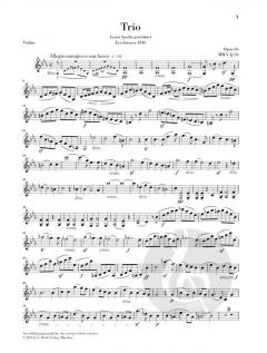 Klaviertrio Nr. 2 c-moll op. 66 von Felix Mendelssohn Bartholdy 