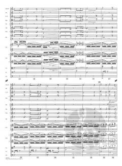 Harry Potter and the Sorcerers Stone Childrens Suite von John Williams 