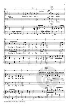 Do You Hear What I Hear (Audrey Snyder) 