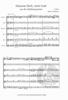 Erbarme dich, mein Gott von Johann Sebastian Bach 