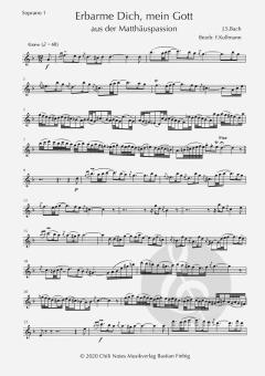 Erbarme dich, mein Gott von Johann Sebastian Bach 