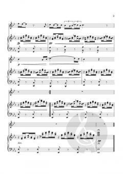 Ave Maria von Franz Schubert (Download) 
