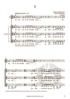 Aftensang von Phillip Faber 