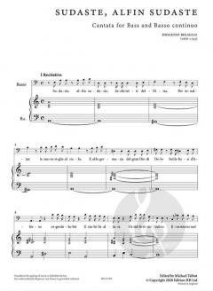 Sudaste, alfin sudaste von Diogenio Bigaglia 