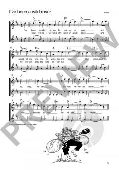 Die schönsten Folksongs 