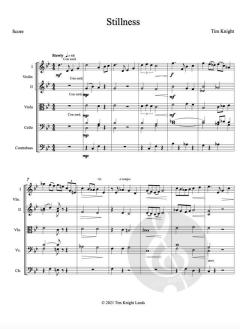 Stillness von Tim Knight 