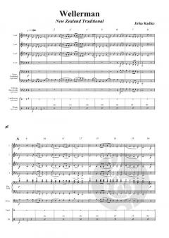 Wellerman DOWNLOAD (Download) 