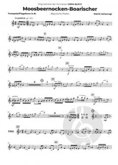 Viera Blech - Play Along 