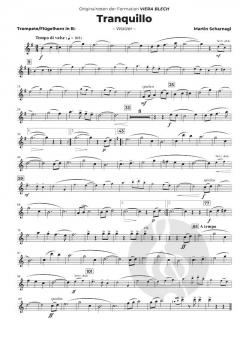 Viera Blech - Play Along 