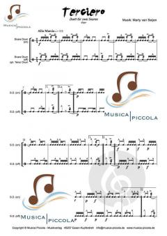 Terciero von Marty van Seijen 