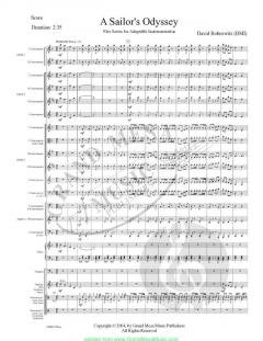 A Sailor's Odyssey von David Bobrowitz 