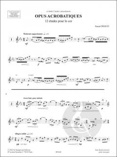 Opus Acrobatiques von Pascal Proust 