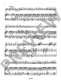 Die Zauberflöte von Wolfgang Amadeus Mozart (Download) im Alle Noten Shop kaufen