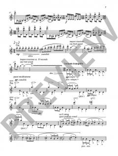 Kadenzen von Fazil Say (Download) 