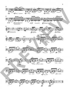 Rusen Günes Anisina op. 92b von Fazil Say (Download) 