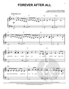 Forever After All von Luke Combs (Download) 