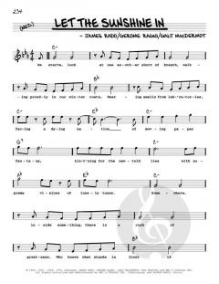 Let The Sunshine In von The 5th Dimension (Download) 