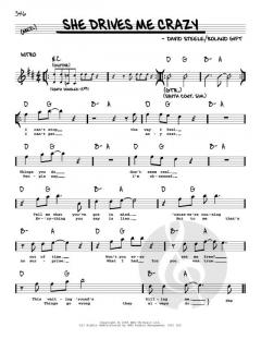 She Drives Me Crazy von David Steele (Download) 