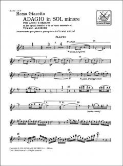 Adagio in G Minor on A Theme of Albinoni 