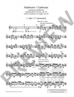 Kadenzen von Fazil Say 