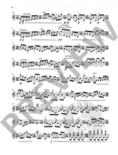 Kadenzen von Fazil Say 