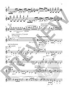 Kadenzen von Fazil Say 