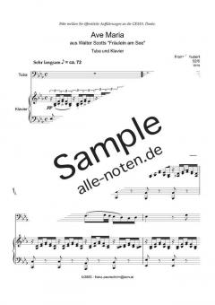 Ave Maria von Franz Schubert 