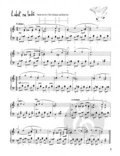 Der kleine Virtuose von Jakub Metelka 