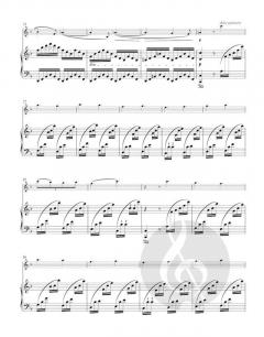 Werke für Violine und Klavier 1: Sonaten für Violine und Klavier von Camille Saint-Saëns im Alle Noten Shop kaufen (Partitur)